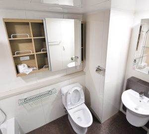 toilet, plumbing